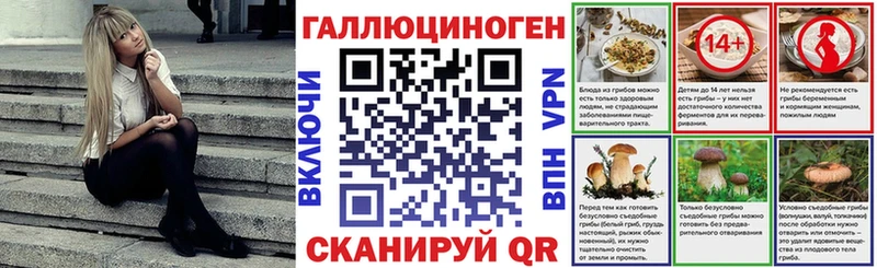 Галлюциногенные грибы мицелий  мега онион  Светогорск  купить закладку 